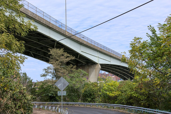 Bloomfield Bridge