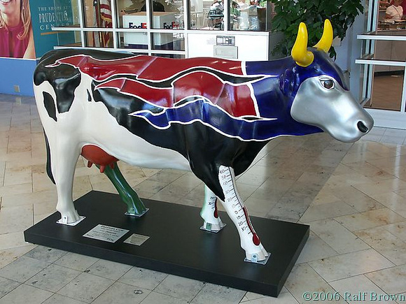#28 Patriots Cow
