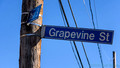 I Heard It On Grapevine Street
