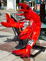 Crazy Lobster
