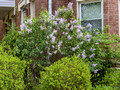DSF69361.jpg