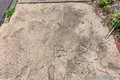 DSF70676.jpg