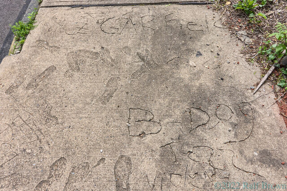 DSF70676.jpg