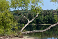 Quemahoning Reservoir