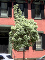 TG4_2205176250.jpg