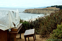 Coast - Santa Cruz to Half Moon Bay