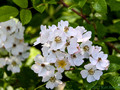 DSF70899.jpg