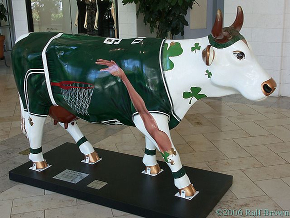 #27 Celtics Cow