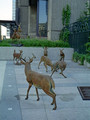 Deer Sculpture "The Visitors"