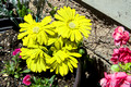 TG4_2205176258.jpg