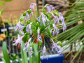 DSF72139.jpg