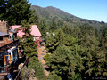 Mountain Home Inn, with Mt. Tam in background