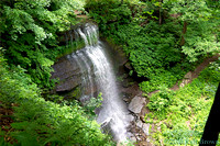 Buttermilk Falls 2010