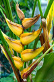 DSF72163.jpg