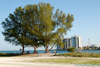 Sand Key Park, Clearwater