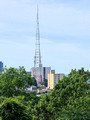 DSF71891.jpg