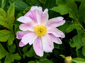 DSF70667.jpg